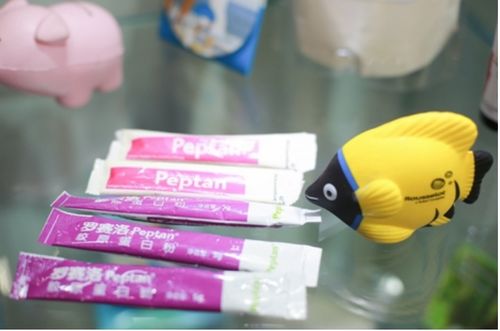 百貨會 探索日用消費(fèi)品與家居生活的創(chuàng)新舞臺
